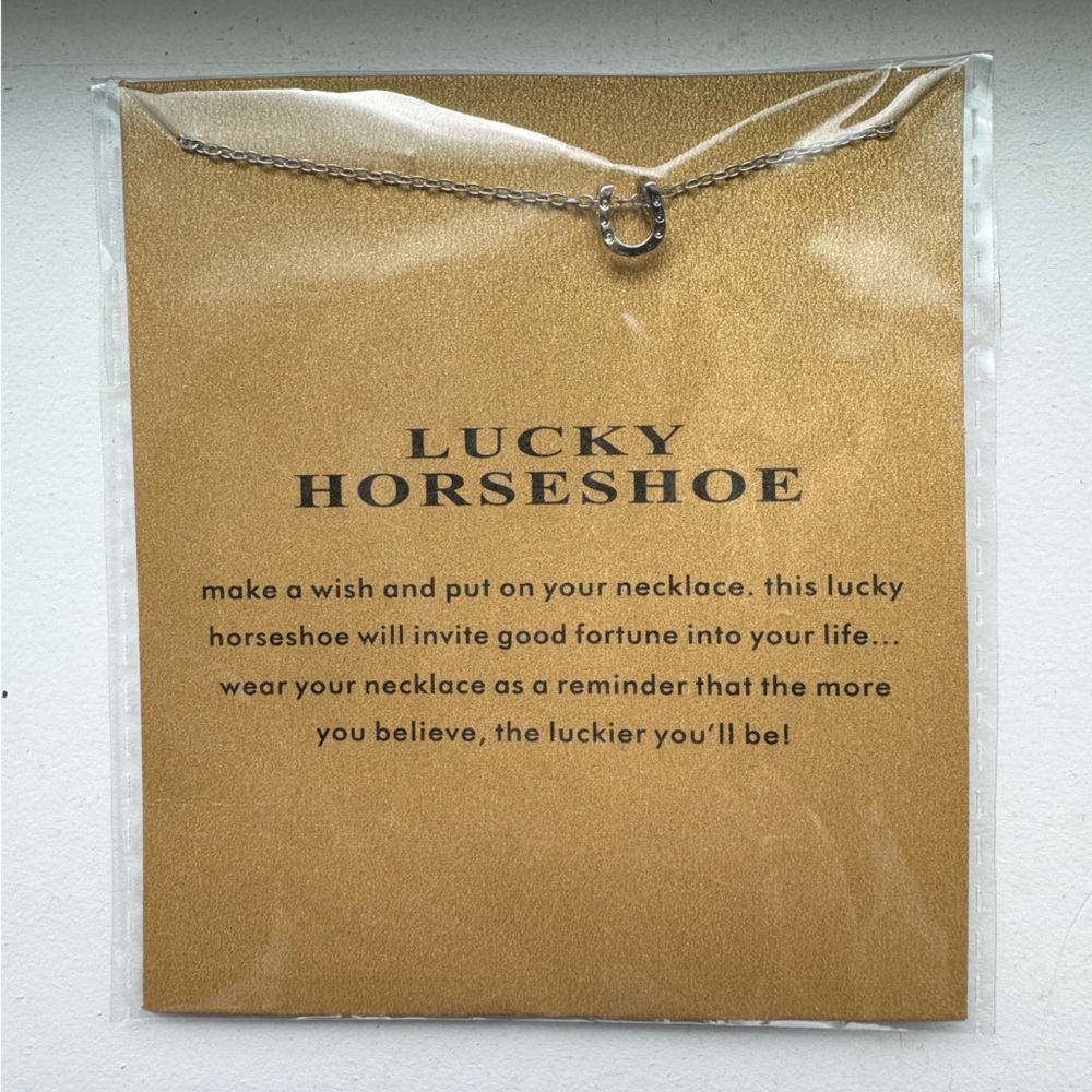Lucky Horseshoe Necklace in Silver